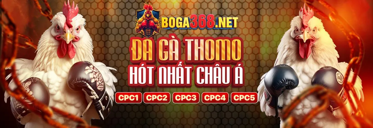 Các loại tiền thưởng và khuyến mãi đa dạng tại 50win